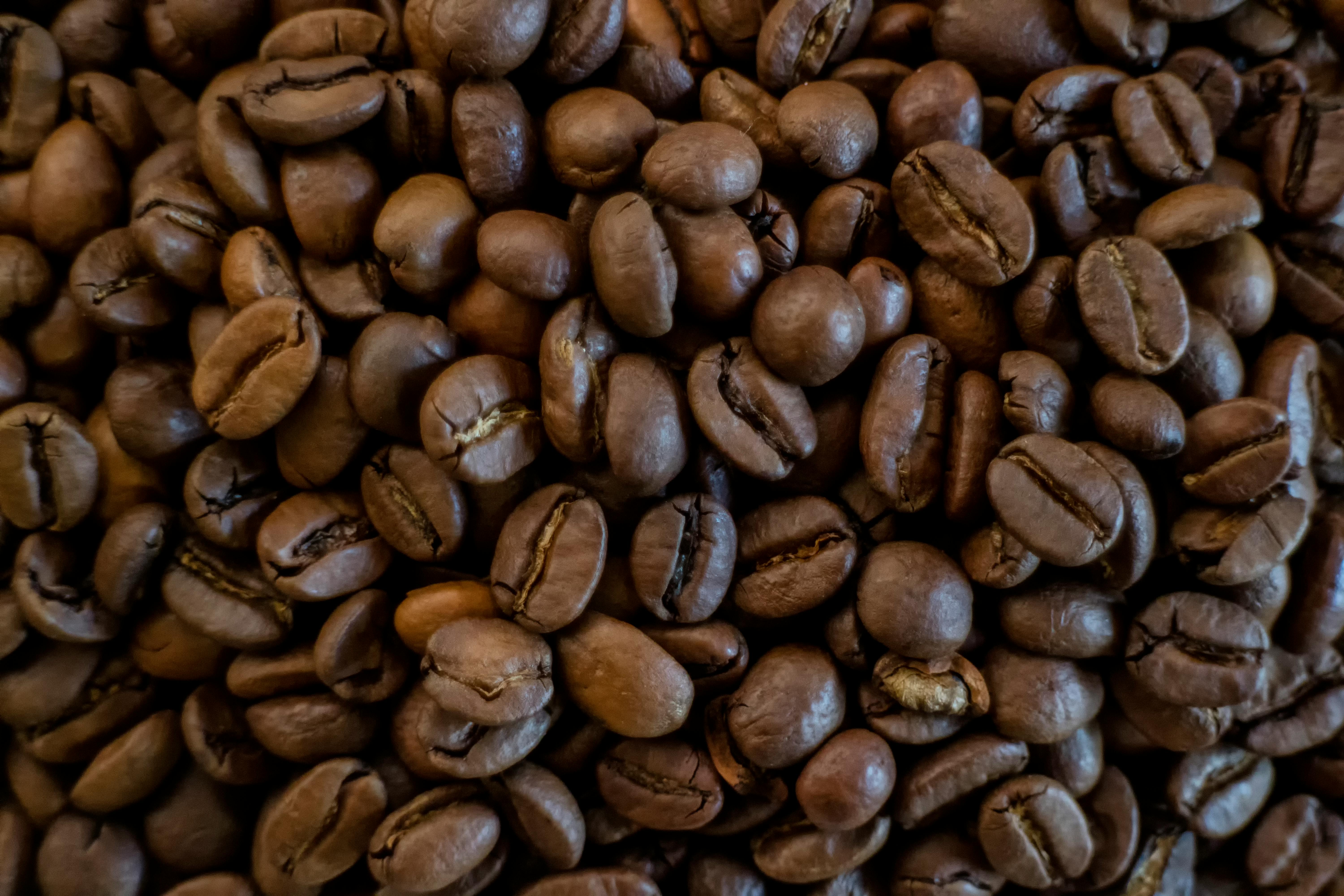 Free stock photo of beans, brown, coffee