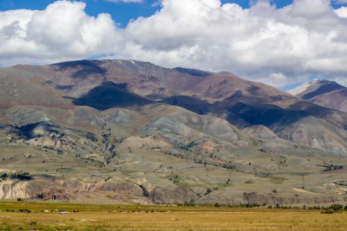 Free Breathtaking view of mountains and fields in Altai Republic, Russia under a blue sky. Stock Photo