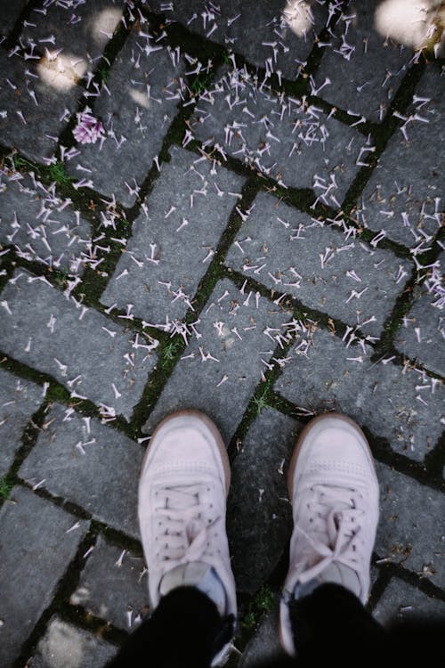 Free White Sneakers on Pavement Stock Photo