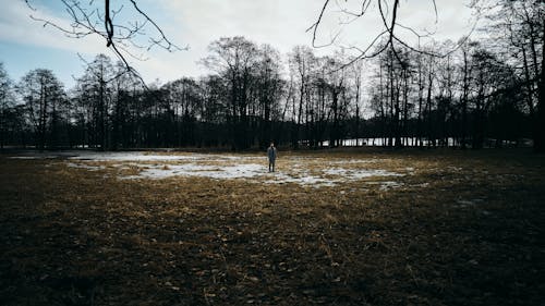 Kostnadsfri bild av ensam, gräs, person