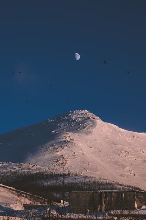 Foto d'estoc gratuïta de a l'aire lliure, cel nocturn, fotografia de natura