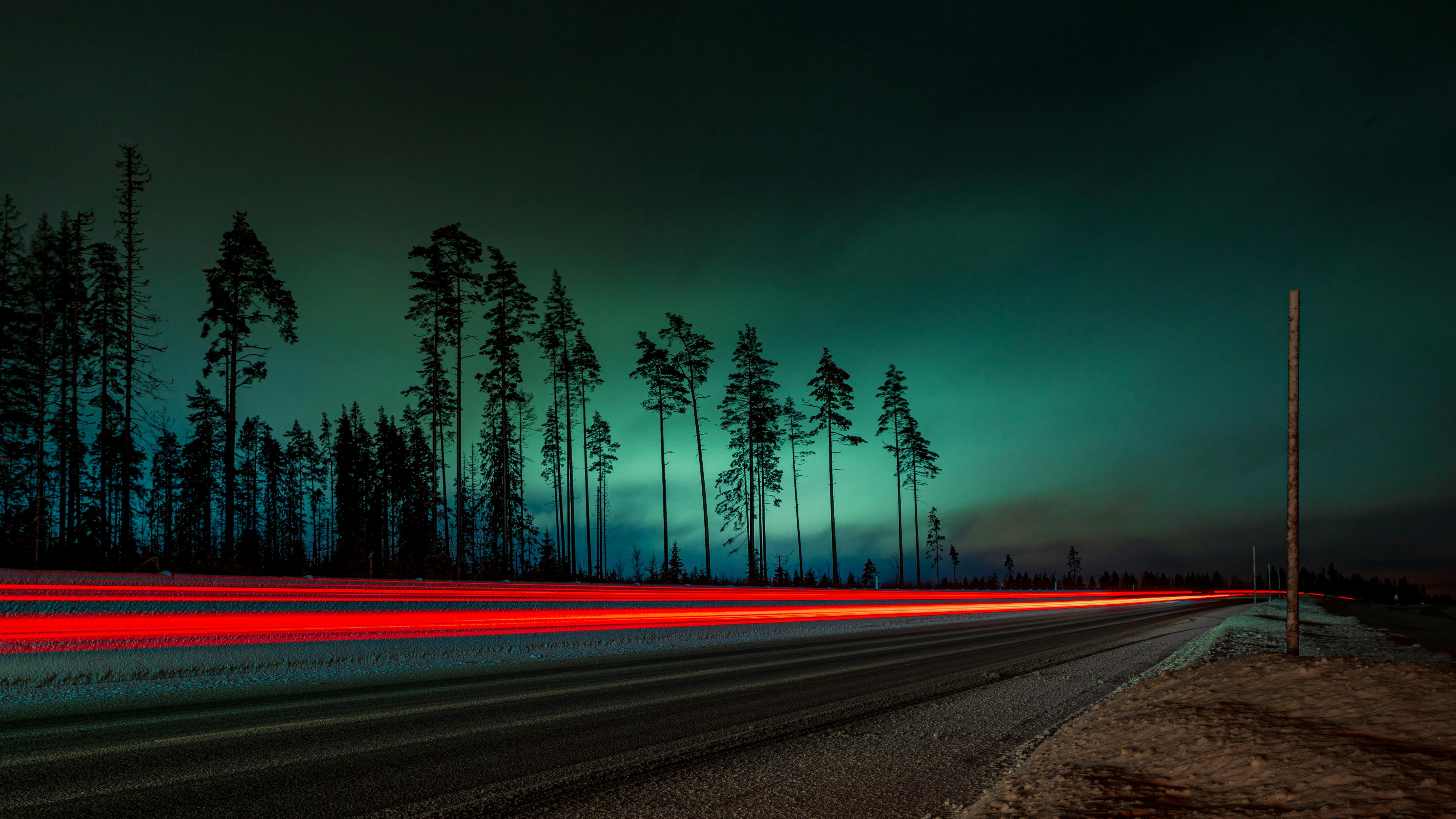 red lit forest