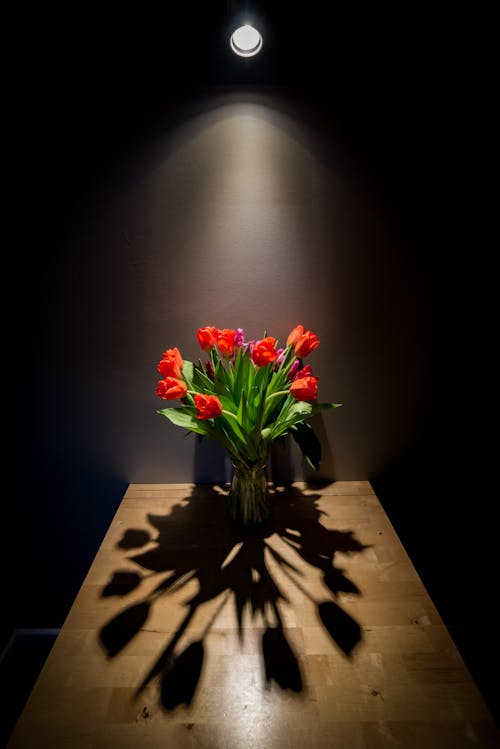 Free Flowers under Light on Table Stock Photo