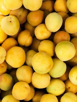Fresh, ripe yellow peaches in a close-up shot, perfect for healthy eating and organic food themes.