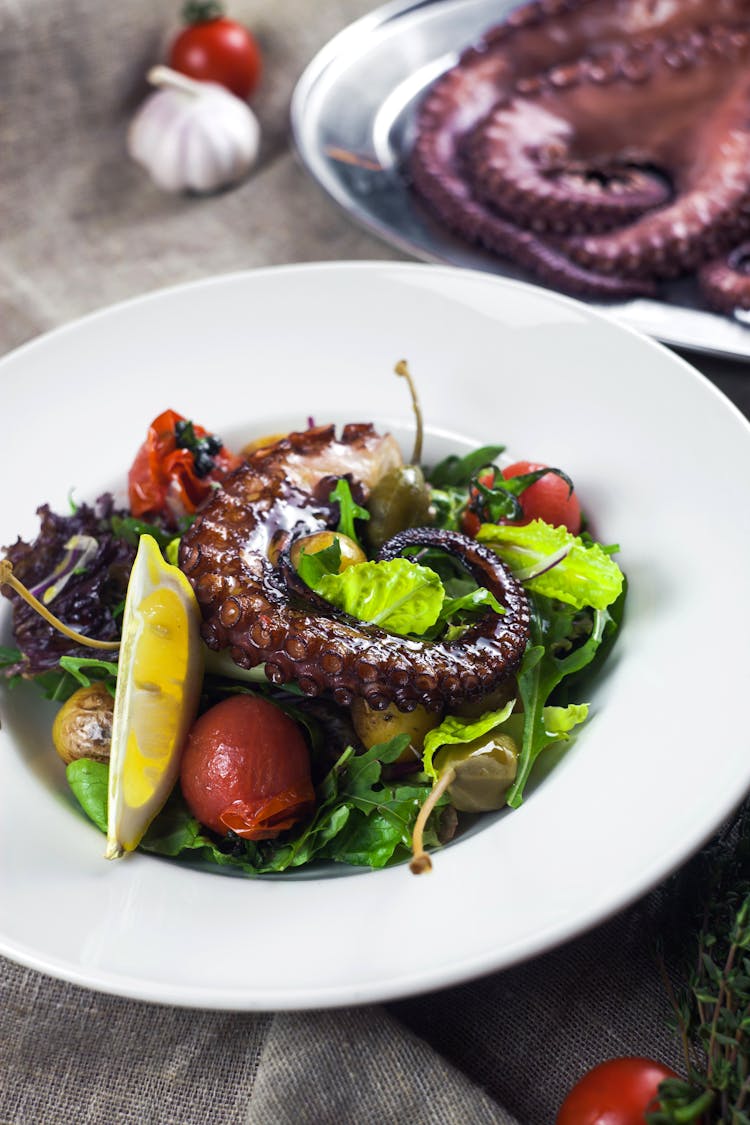 Vegetable Salad With Squid Tentacle On A Ceramic Plate