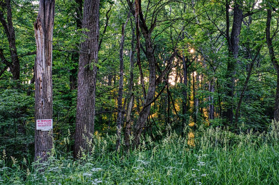 Breaking: Yankauer Preserve Opens for Public Hiking - Nature Conservancy Initiative
