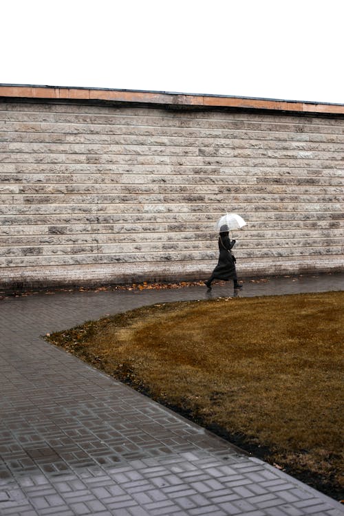 Fotobanka s bezplatnými fotkami na tému chôdza, človek, dáždnik