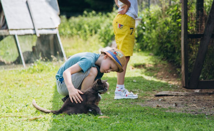 A Kid Petting A Black Cat 