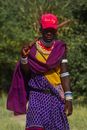 Woman in Purple and Brown Sari
