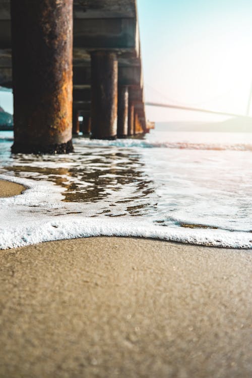 Closeup Photo of Seashore Near Bridge