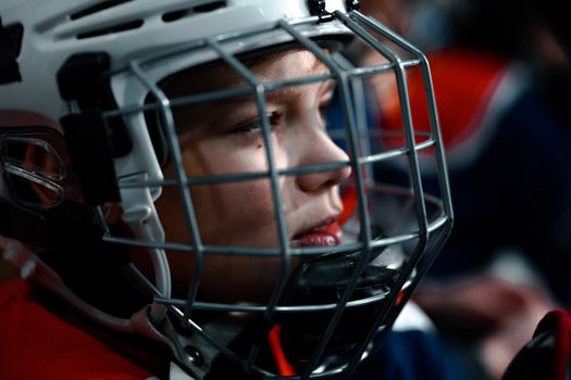 Ottawa Senators Fans Still Dream of an EK65 Homecoming