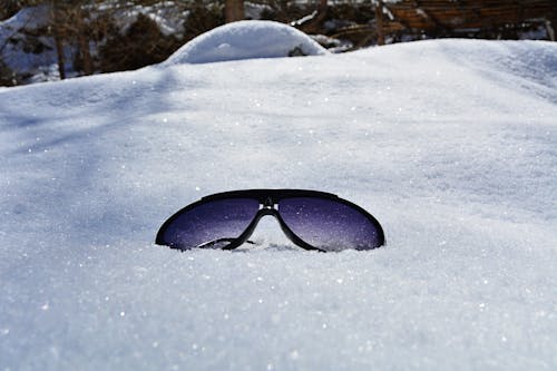 Fotos de stock gratuitas de blanco, naturaleza, nevar