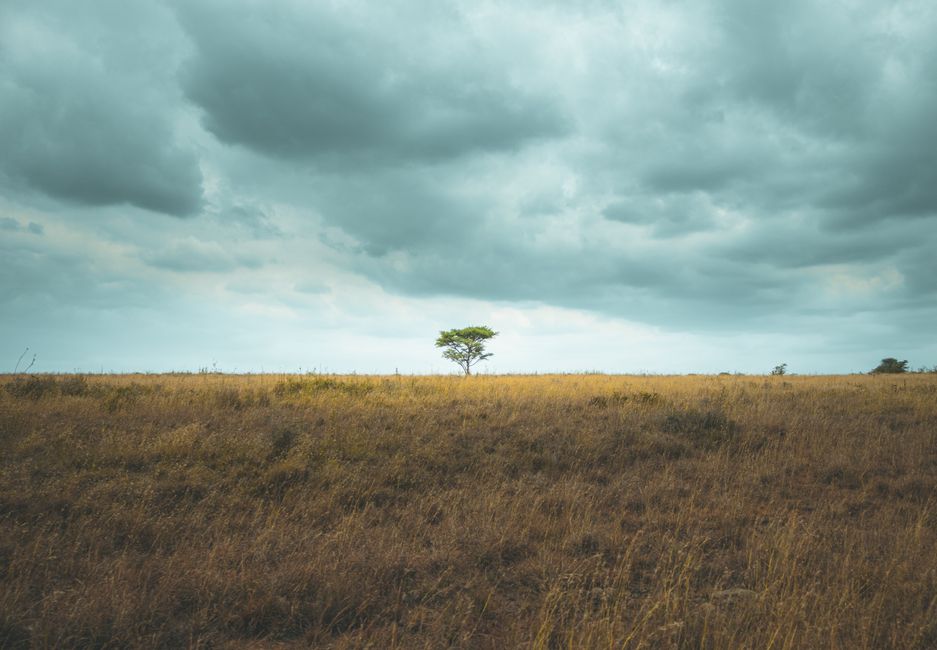 Quel visa choisir pour vivre en Kenya ?