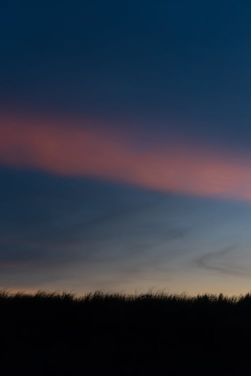 Fotos de stock gratuitas de césped, cielo, naturaleza