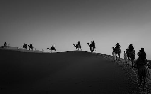 Grayscale Photo of People Walking in the Desert with Camels