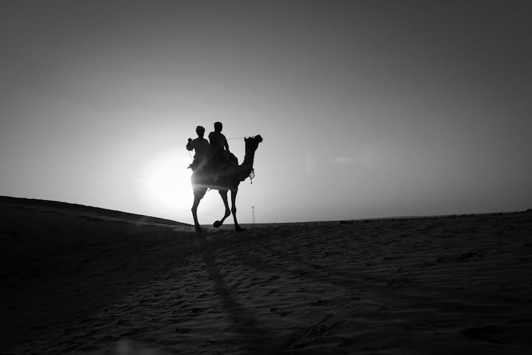 Silhouette Of People Riding A Camel In The Desert