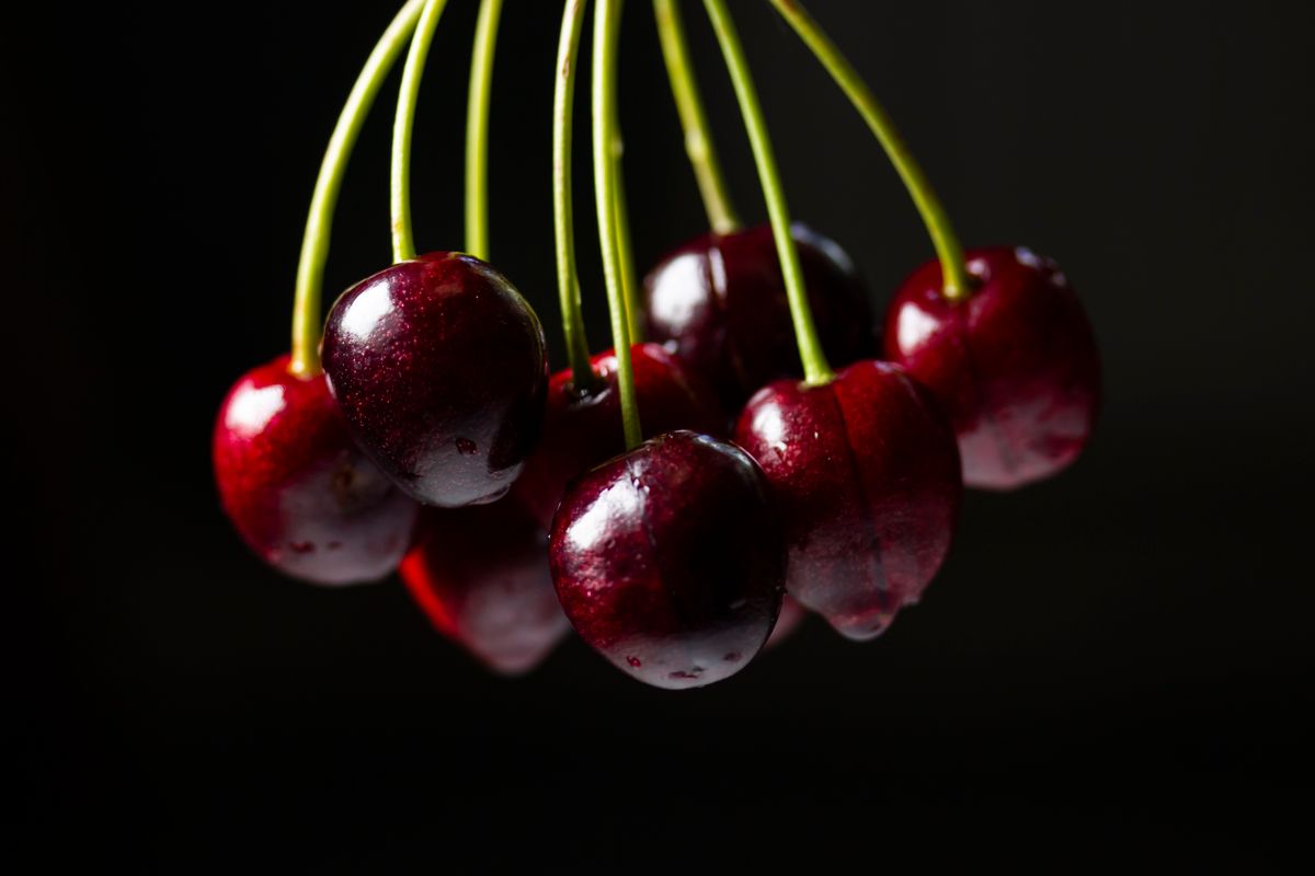 Cluster of fresh ripe red cherries on stems against a dark background