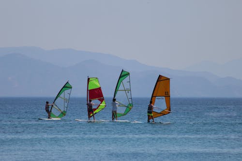Photograph of People Windsurfing