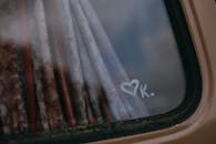 Black and Brown Floral Textile