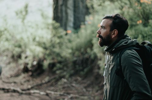 Free A bearded man in a green jacket hiking and exploring a forest. Stock Photo
