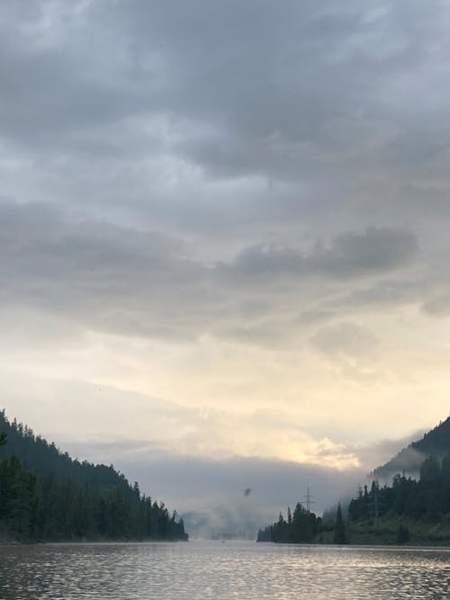 ミスト, 垂直ショット, 山岳の無料の写真素材