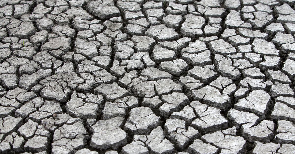 cracked dry earth with a thermometer showing extreme heat, global heatwave concept