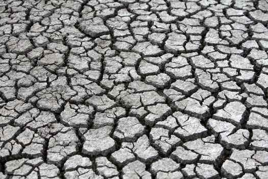 A close-up of cracked, dry ground showcasing severe drought and its impact on land.