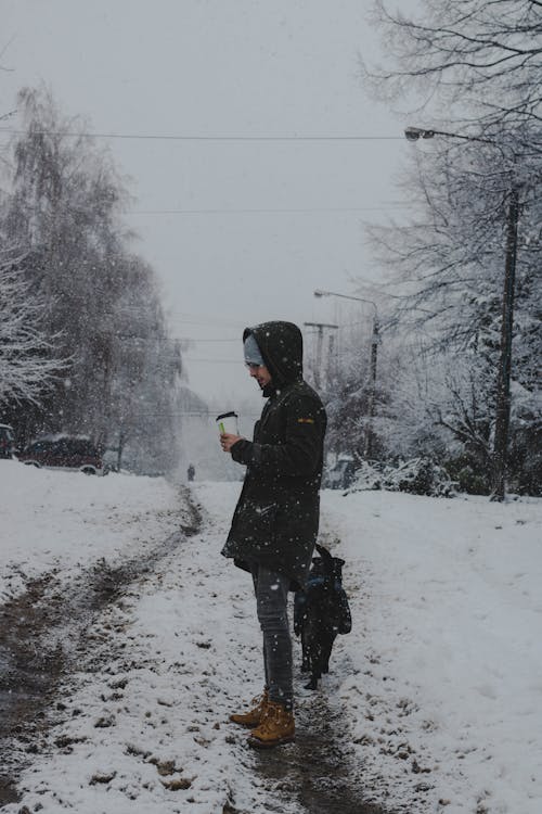 下雪, 人, 冬季 的 免费素材图片