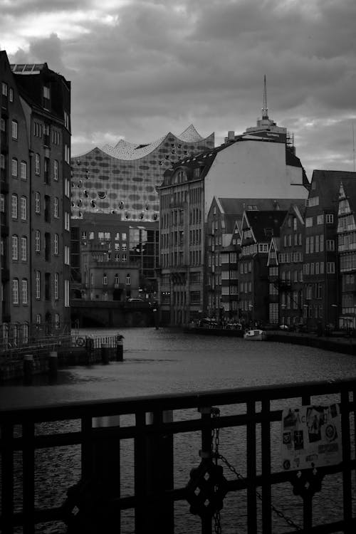 elbphilharmonie, 前景, 單色 的 免费素材图片