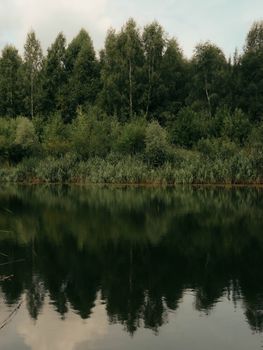 Tranquil forest and lake with perfect reflection under a clear sky.