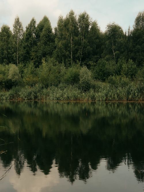 Free Tranquil forest and lake with perfect reflection under a clear sky. Stock Photo