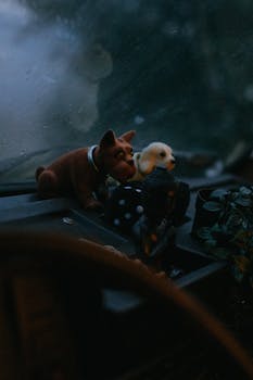 Artistic view of dog figurines on a car dashboard with misty windshield, creating a moody atmosphere.