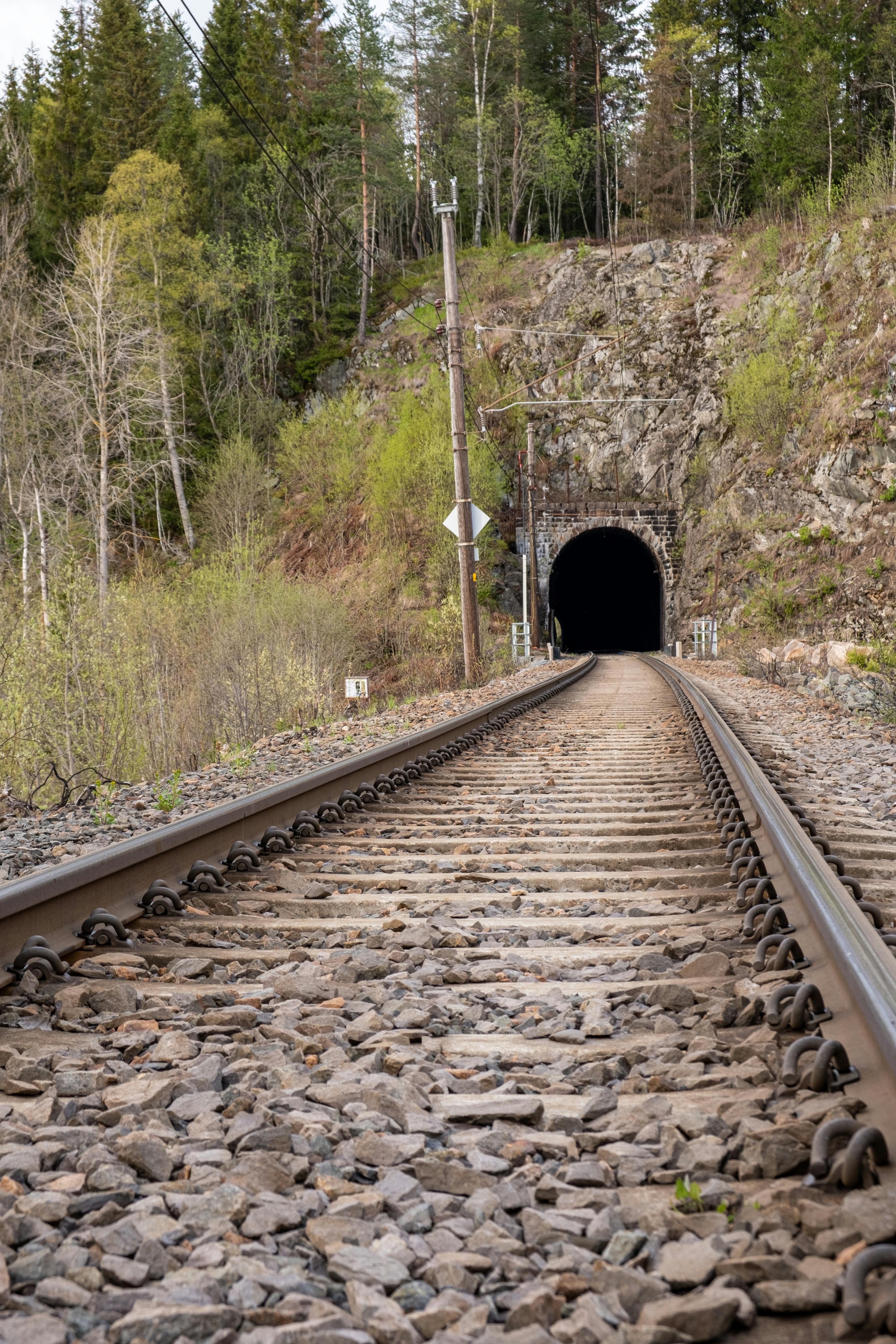 A scenic railway track disappearing into a tunnel surrounded by lush foliage.