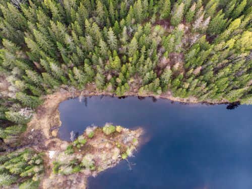 Free Serene aerial view of a lake surrounded by lush forest in Oslo, Norway. Stock Photo