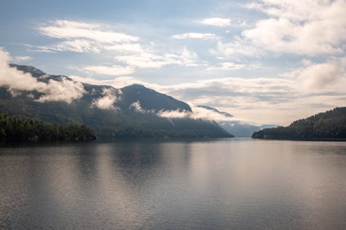 Imagine de stoc gratuită din armonios, fotografie cu natură, în aer liber