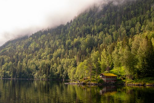 Brown Wooden House on Lake Near Green Trees