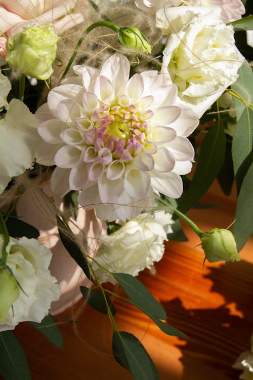 Close Up Photo of Bunch of White Flowers