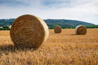 Brown Grass Field Under Blue Sky