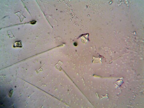 Ancient dust reveals West Antarctic Ice Sheet retreated during last warm period