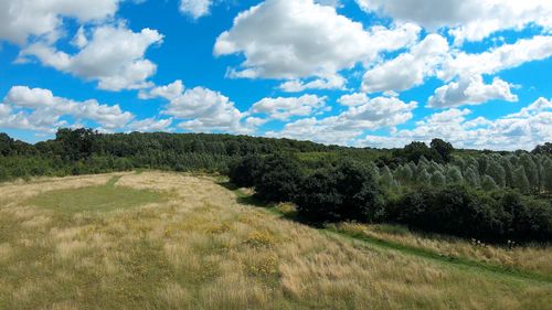 Free Scenic view of lush greenery and grass fields under a vibrant blue sky in the UK. Stock Photo