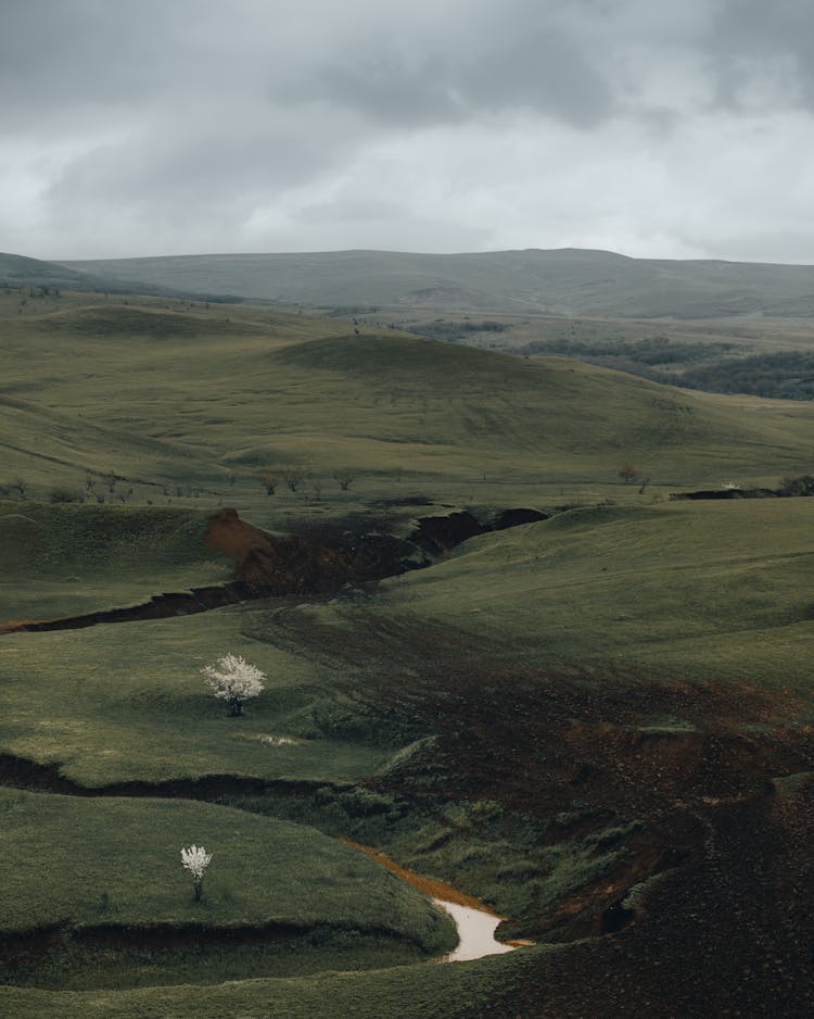 Green Meadows On Hilly Place