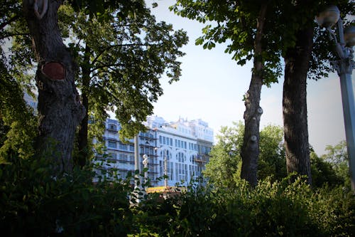 A White Concrete Building Behind Green Trees