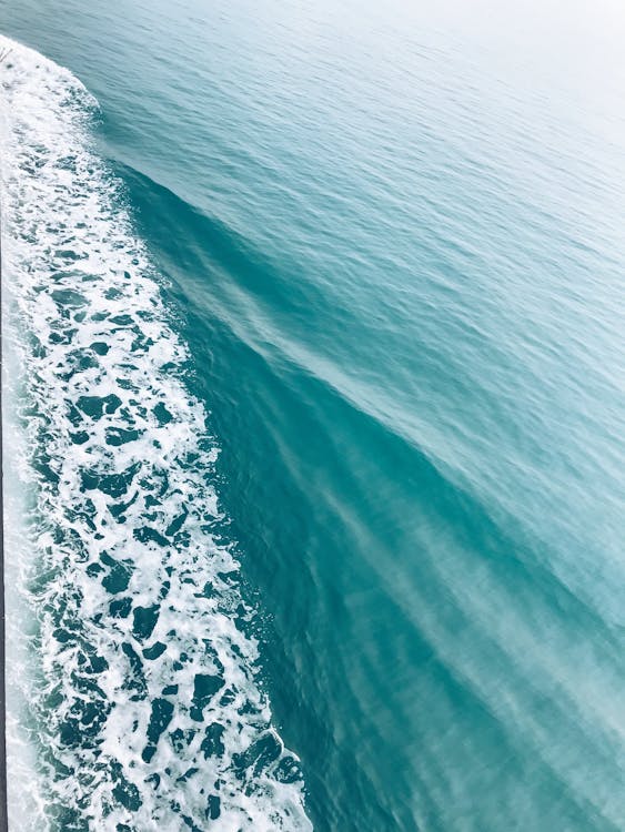 Free stock photo of nature, ocean, sea