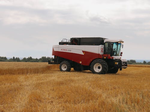 Red and White Harvester on a Grassy Field