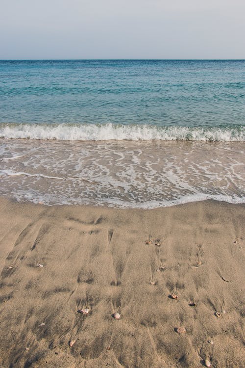 Wet Sand on Shore