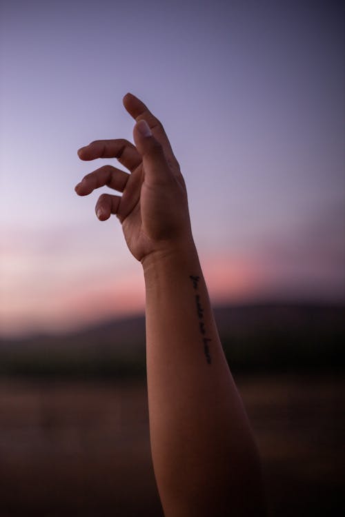 Ilmainen kuvapankkikuva tunnisteilla ihmiset, käsi, käsivarren tatuointi