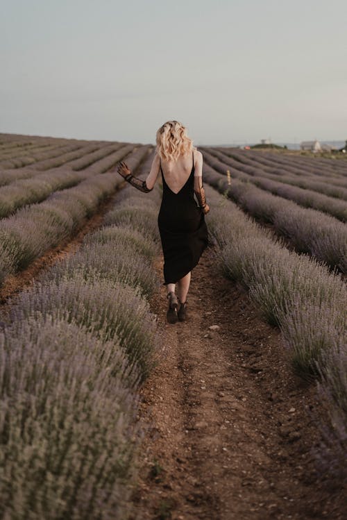 A Woman in a Black Dress Walking on a Lavender Field