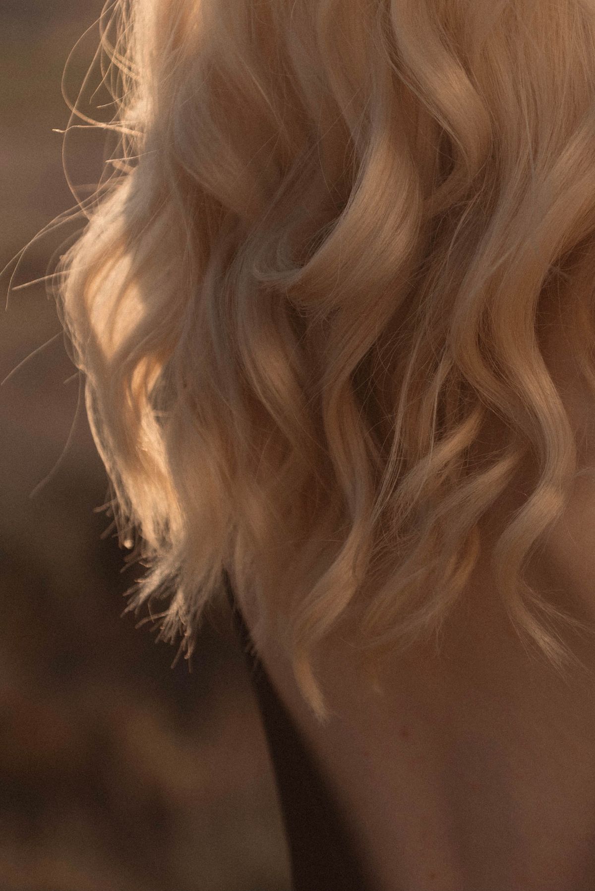 Referencia de mechas rubias con brillo natural