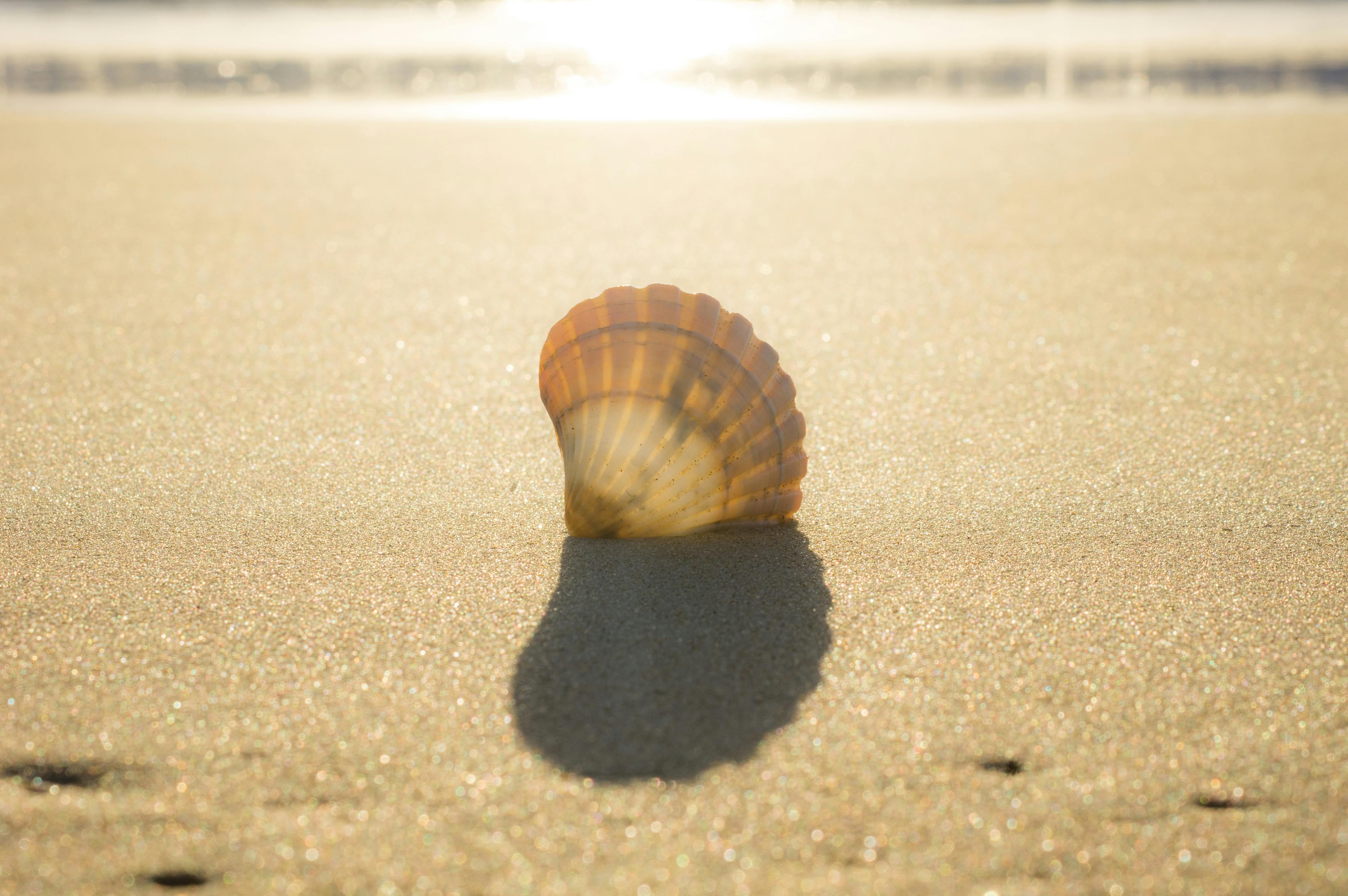 Free stock photo of australia, beach, Gold Coast
