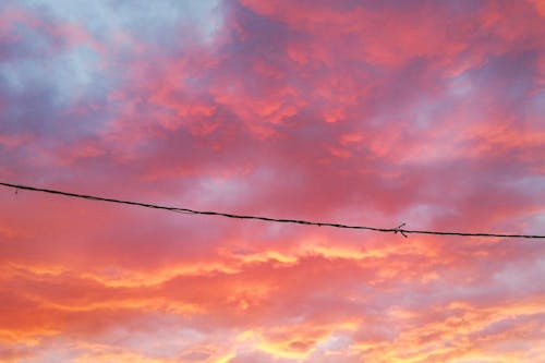 tumblr, vaporwave, 傍晚天空 的 免費圖庫相片